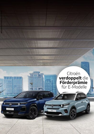 Eine Ansammlung von zwei Fahrzeugen der Marke Citroën.